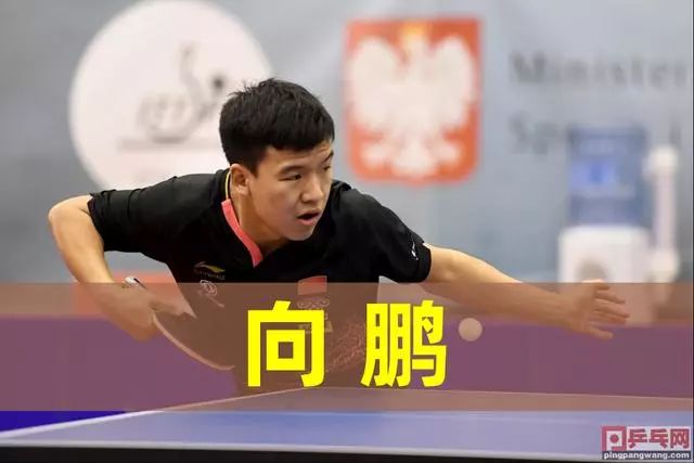 这个赛事为 这个赛事为